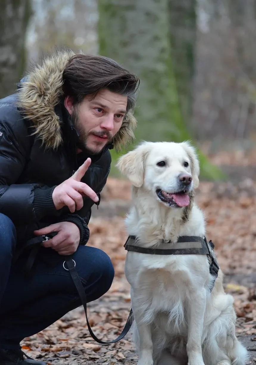 Como é uma ferida cicatrizando em um cachorro?